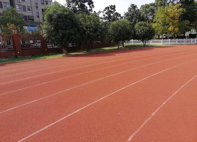 塑胶跑道的相关介绍